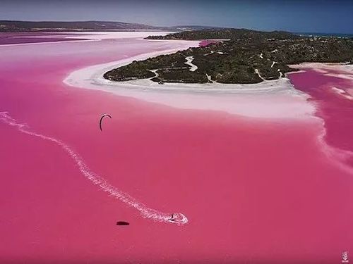 粉红湖二日游（出海捞龙虾）